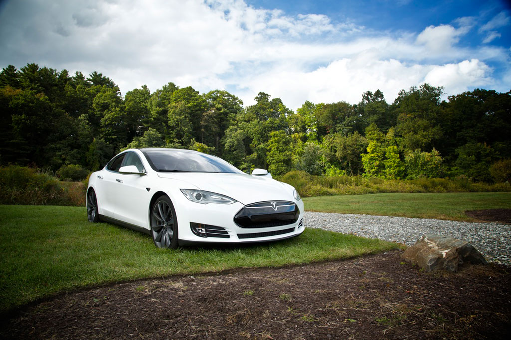 Ein weißer Tesla auf einer Wiese